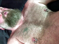 Bald hairy guy sucking cock