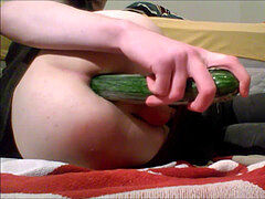 Gay porn, hd videos, gay twink