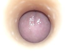 Inside View of Asa Akira Swallow Texture Fleshlight