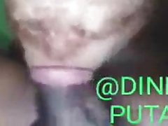 DINDIN BRUTUS X MILKAO PUTAO