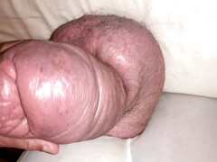 Suck my big cock