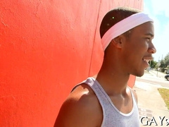 Torrid Bi-Racial Cub Romp