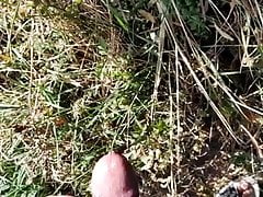 Pee in the Park