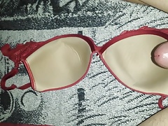 Cum On Bra #13