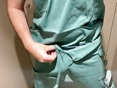 Amico veterinario