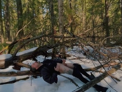 The sun on the branch)