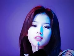 twice sana cum tribute