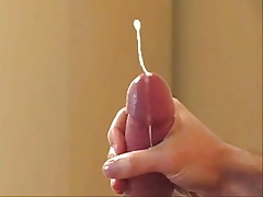 Morning Wood