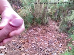 Hiking in the forest, liking myself out in nature.