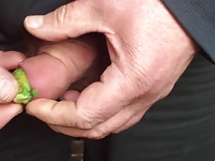 Foreskin with 16 items
