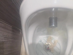 Public rest room, I attempted to entice the studs with my enormous rod