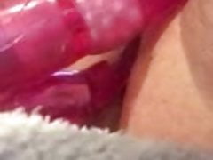 Rabbit and panties 2