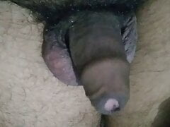 Indian Penis