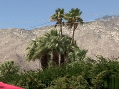 Hairy - Spencer Whitman, Austin Ryder