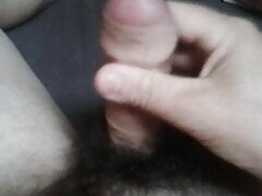 Morning glory