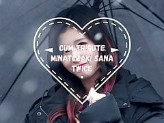 Cum Tribute Minatozaki Sana Twice #4