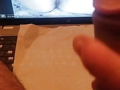 Pussy cat 1