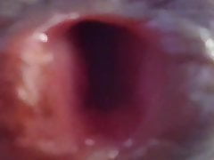 My Cock Pink Hole