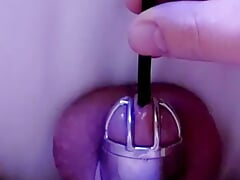 Deep Sounding A Locked Cock
