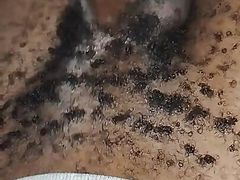 Hairy Kenyan Twink Vigorously Stroking His Hard Dick. Part 2