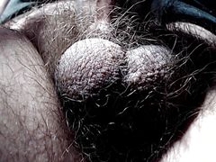 Slow Pumping Veiny Cock Close Up