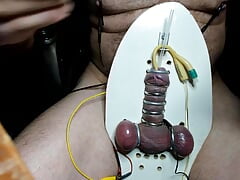 Electro strapped to board needles in testes