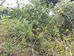 Today my cook is not tight I don't know - I am coming forest bathroom in forest