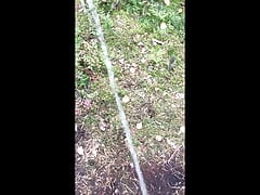 More and more pissing