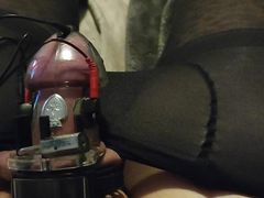 Estim Cock Cage