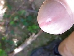 I have to cum in the Forest