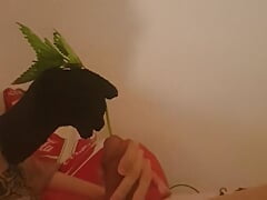 Martin puts nettle stem in his peehole...