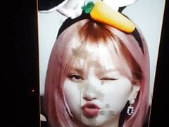 GFRIEND EUNHA'S BIRTHDAY CUM TRIBUTE