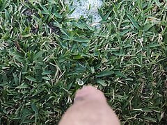Peeing outdoors on the grass