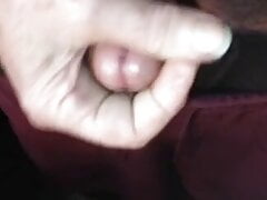 Scared cock