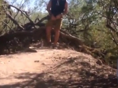 Cruising in a Spanish Forest 2