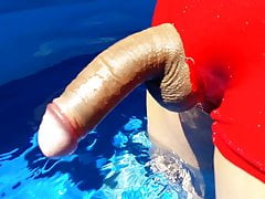 Red cock pool Rojo boxer pija pileta