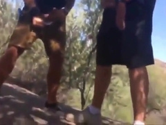 Cruising in a Spanish Woods