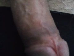 My cock today 24 April 2021