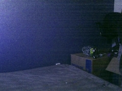 Dom Step daddy Tears Ass Up