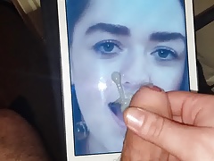tribute aria stark (Maisie Williams)