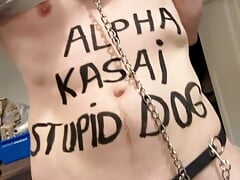 Dog for Alpha Master