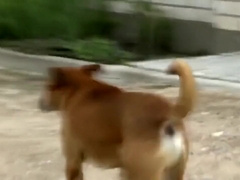 To Be Naked And To Be A Man In The Public