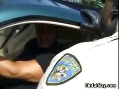 POLICE BEAR ... PART 01