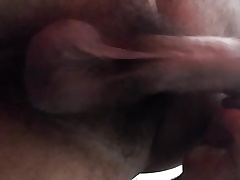 Polla