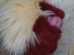 Urinating and jizzing for you in fursuit