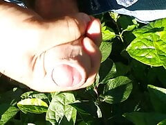 outdoor wank & cum