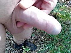 Outdoor im Wald  (Wank in the Forest)