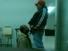 Fat Daddy Bear Sucks Chub