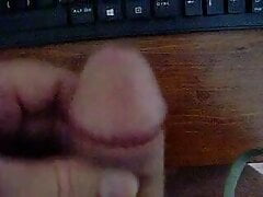 magammal2