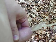 Draussen im Wald endlich pinkeln.